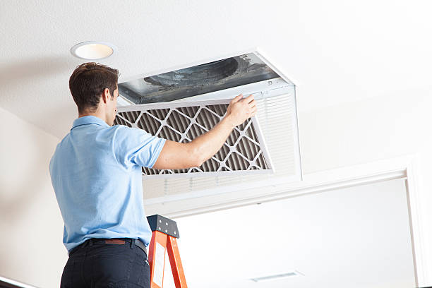 Best Emergency HVAC Services in Peosta, IA